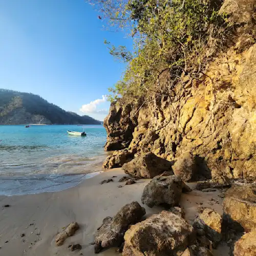 Tortuga Island Tour
