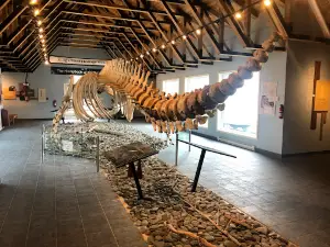 Dr. Jon Lien Whale Pavilion