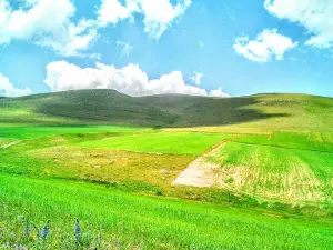 Yanlizcam Koyu Muhtarligi