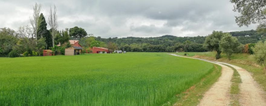 Jardineria del Vallès