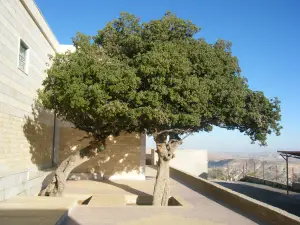 Nabi Habil Shrine