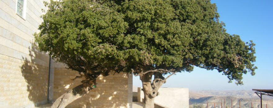 Nabi Habil Shrine