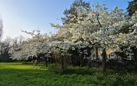 Barra Hall Park