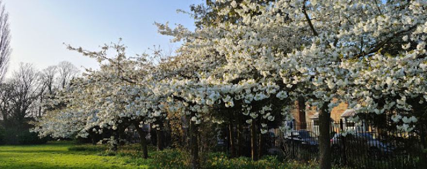 Barra Hall Park