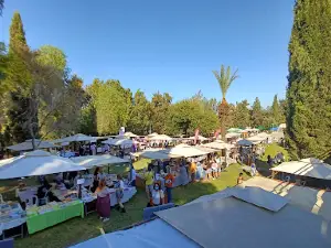 Acropolis Park