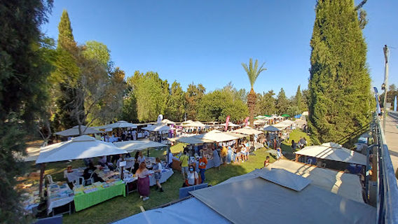 Acropolis Park