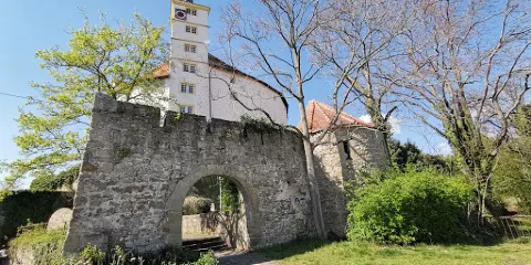 Kaltenstein Castle