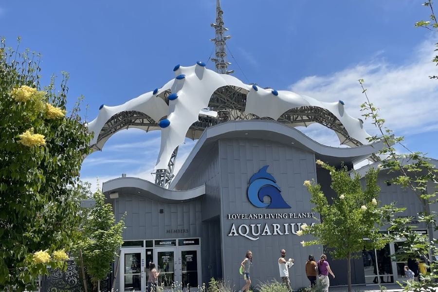 Loveland Living Planet Aquarium