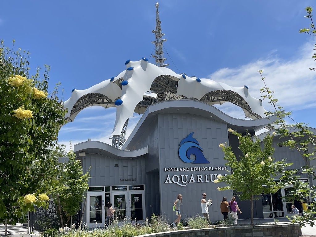 Loveland Living Planet Aquarium