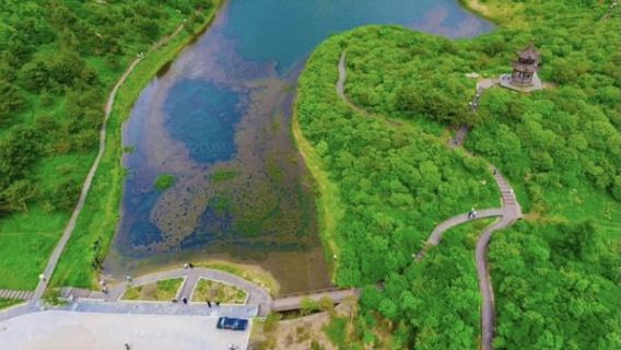 lei ze chao na qiu sen lin gong yuan