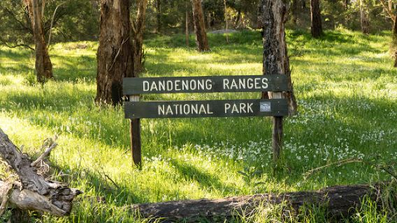 Dandenong Ranges