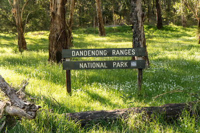 Dandenong Ranges