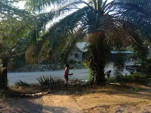 GEREJA GPMII PENTAT
