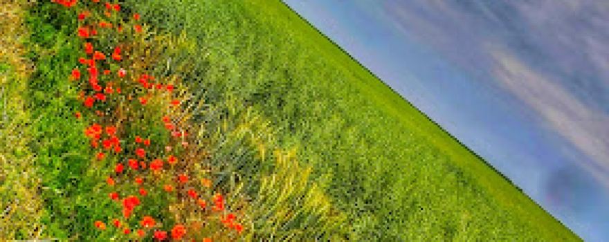 Manastirea Crasani