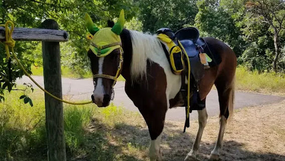 Fort Ridgely State Park Horse Camp