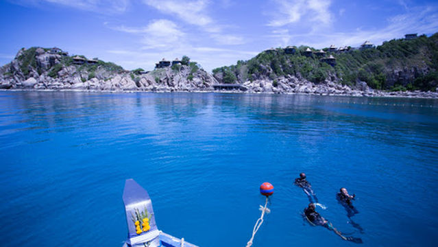 Turtle Divers - Koh Tao