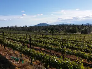 Indian Peak Vineyards