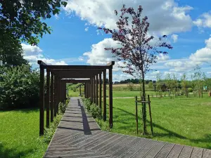Plaża Czerniki