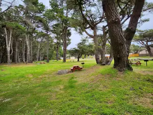 Manchester Beach / Mendocino Coast KOA Journey