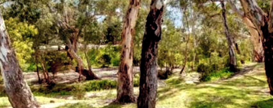 Ashley Reserve