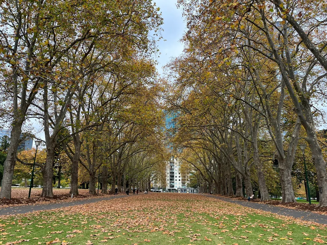 5_Carlton Gardens