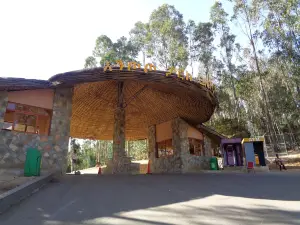 Mount Entoto