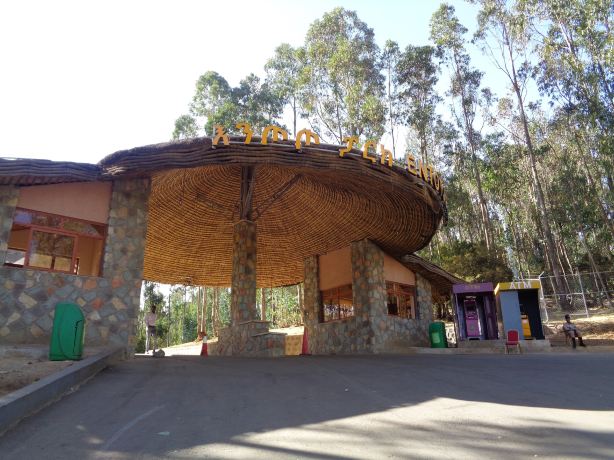 Mount Entoto