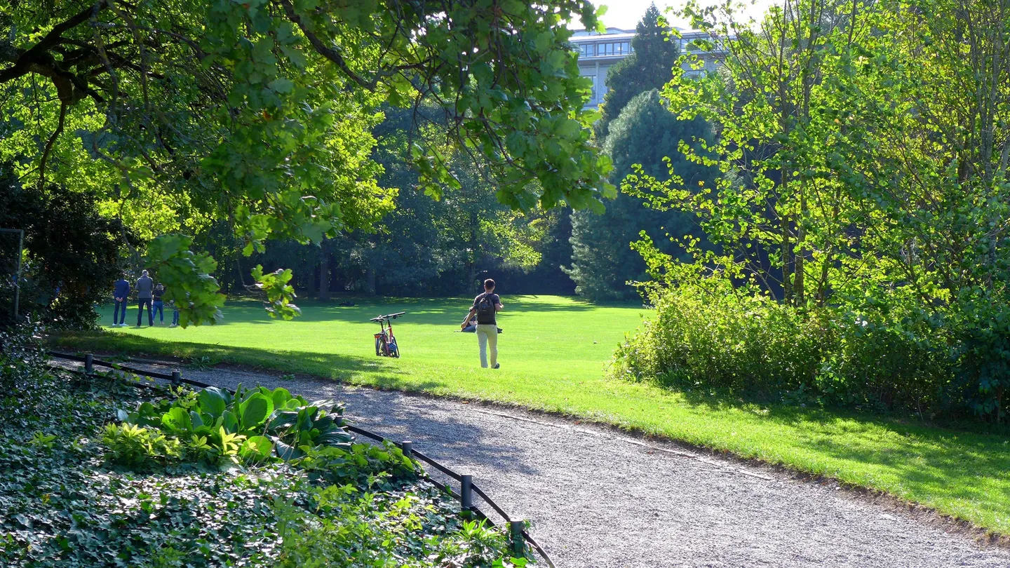 3_Arboretum