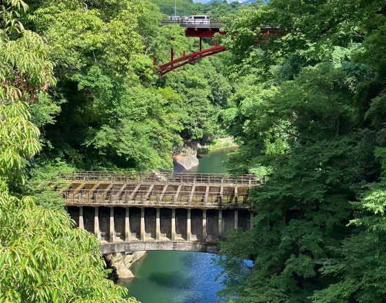 大月市 自由行套票