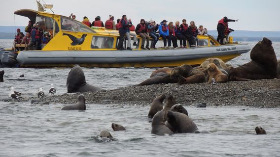 Punta Arenas
