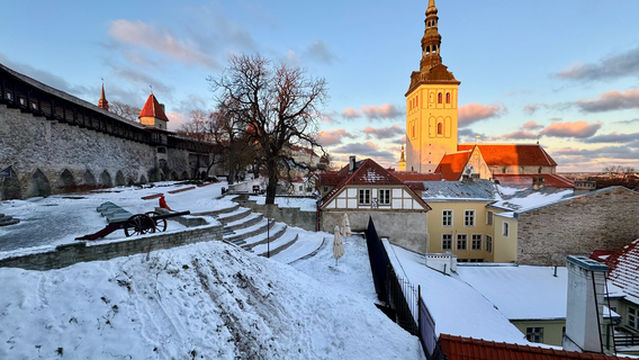 Danish King's Garden
