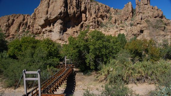 Бойс Томпсон Арборетум