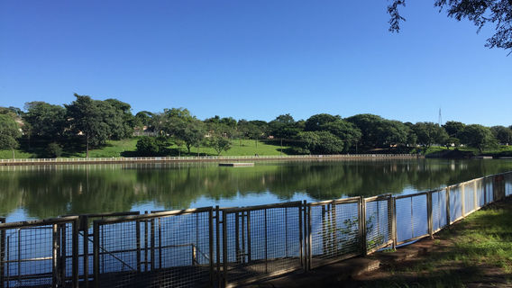 Park Alfredo Werner Nyffeler