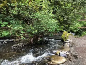 Flaming Geyser State Park