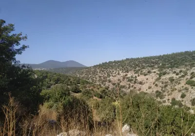 Tzfat
