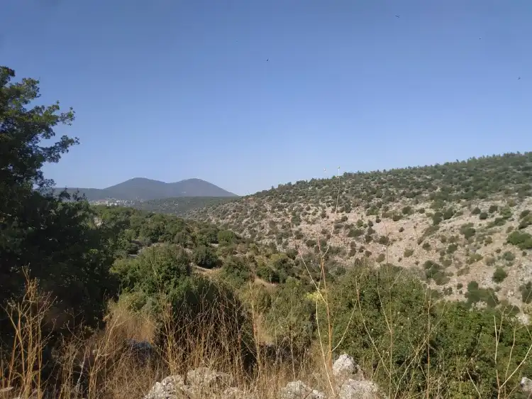 Hotels in Tzfat
