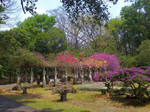 Kebun Raya Purwodadi