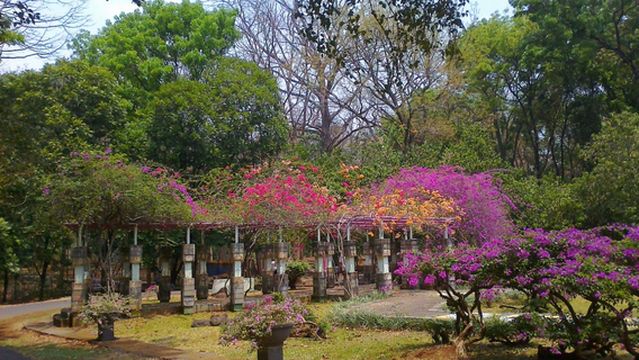 Kebun Raya Purwodadi