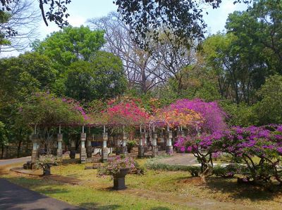 Kebun Raya Purwodadi