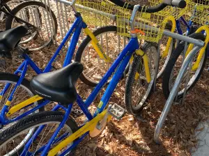 Hilton Head Bicycle Company