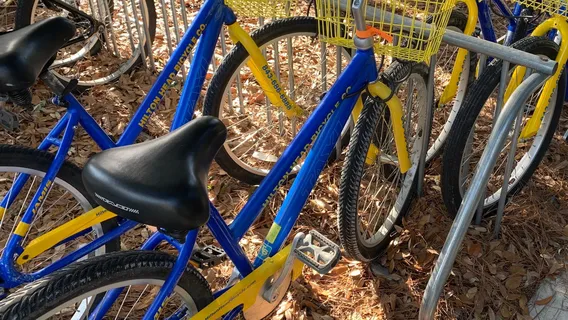 Hilton Head Bicycle Company