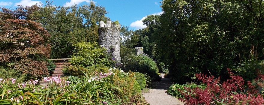 National Trust - Rowallane Garden