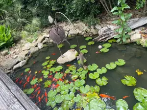 Massee Lane Gardens