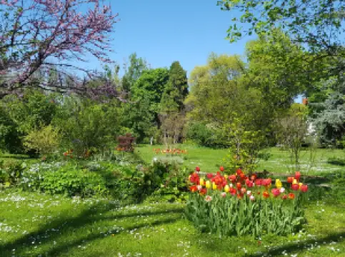 Botanischer Garten Bukarest