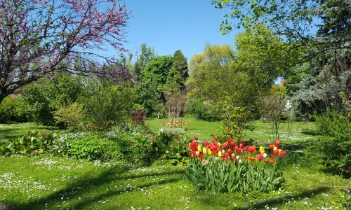 "Dimitrie Brândză" Botanical Garden