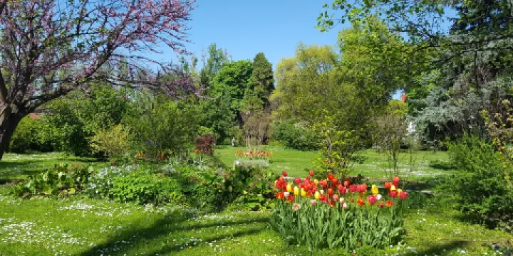 布加勒斯特植物園