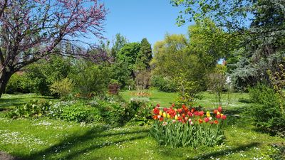 "Dimitrie Brândză" Botanical Garden