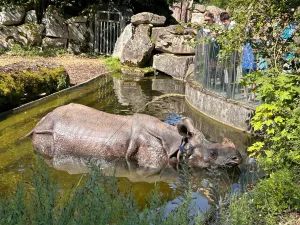 Hellabrunn Zoo