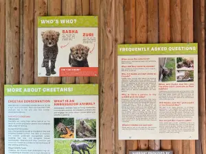 Lincoln Children's Zoo