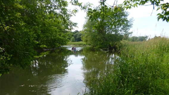 Cooperstown and Charlotte Valley Railroad